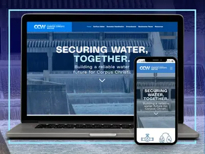 Screenshots of Securing Water Website