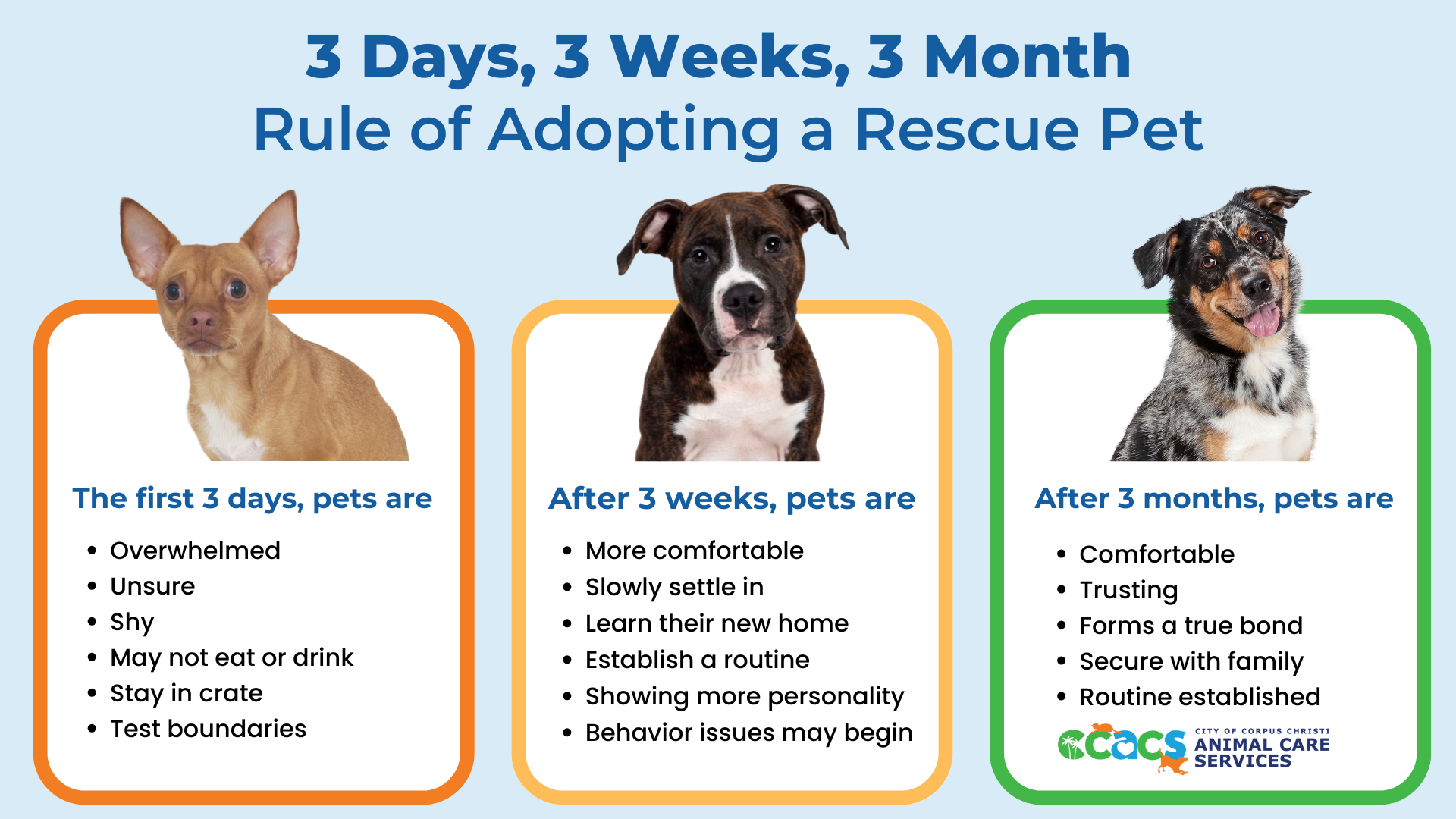 3 Days, 3 Weeks, 3 Months