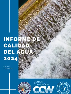 Informe Anual 2024 Sobre La Calidad Del Agua Potable