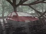 Turn Around Don't Drown PSA