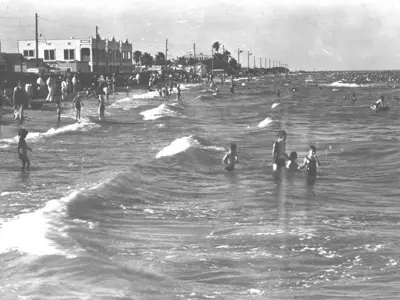people in the water