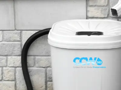 Rain Barrel
