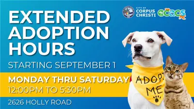 Extended Adoption Hours Starting September 1; Monday though Saturday from 12 p.m. to 5:30 p.m. Located at 2626 Holly Road