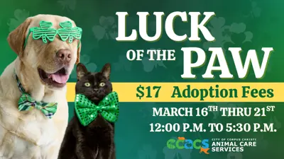 Luck Of The Paw; $17 Adoption Fees; March 16th through 21st; 12 p.m. to 5:30 p.m.; City of Corpus Christi Animal Care Services
