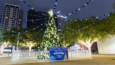 Public Christmas Tree