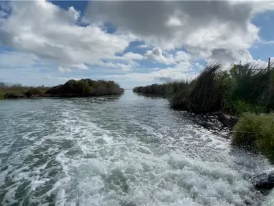 Oso Wastewater Treatment Plant Discharge