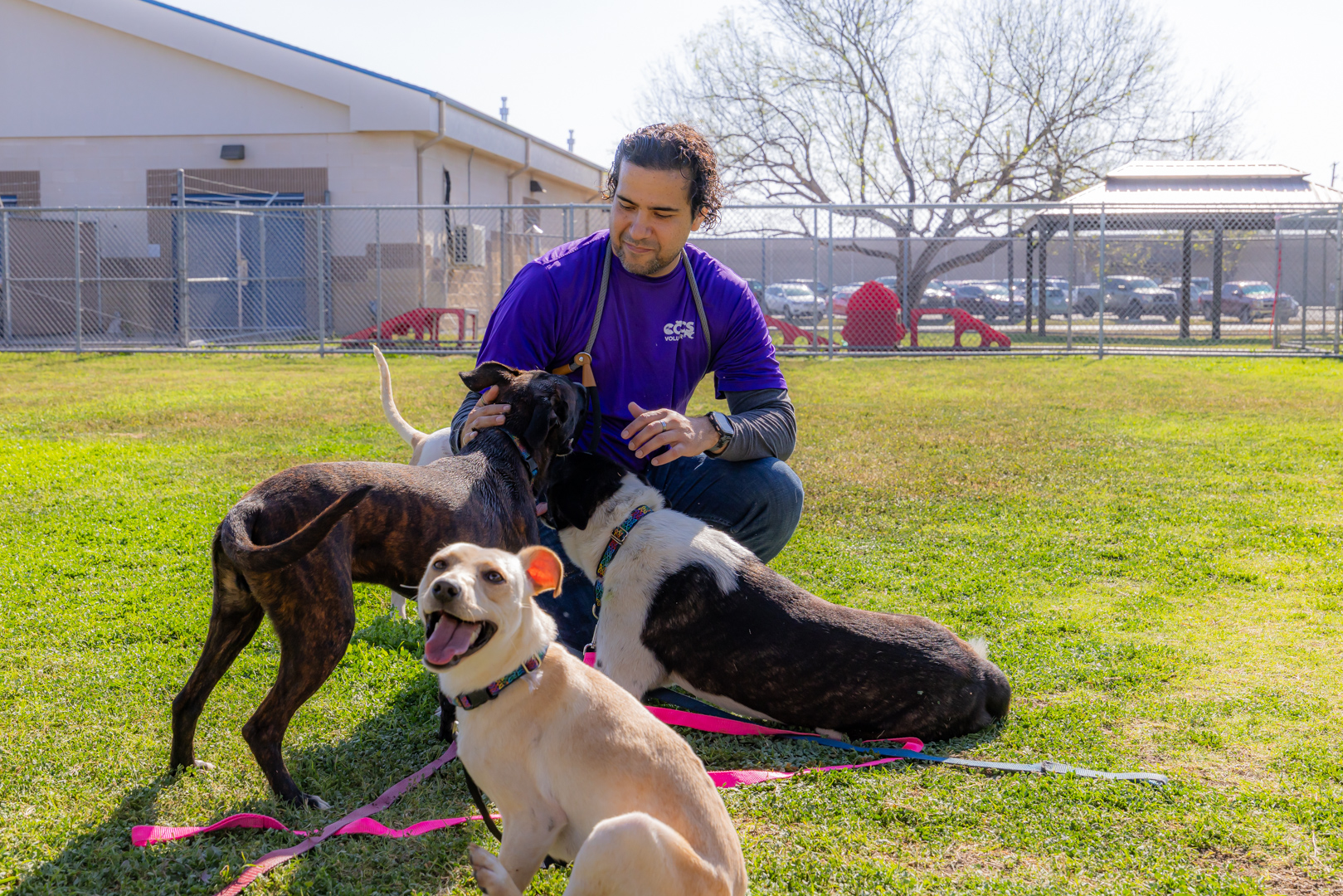 Man with three dogs