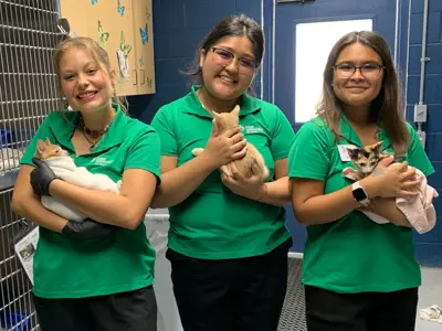 three volunteers holding kittens